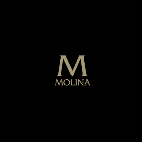 logo_molina_tripode